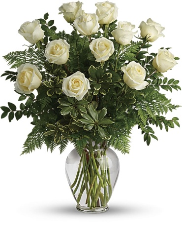 White Roses Joy