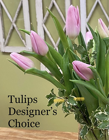 Ten Tulips - Designer\'s Choice