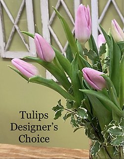 Ten Tulips - Designer\'s Choice