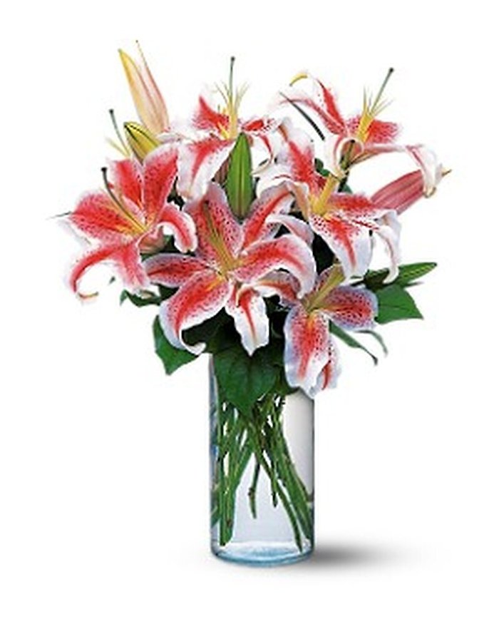 Lovely Lilies