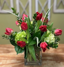 Truly Red Tulips